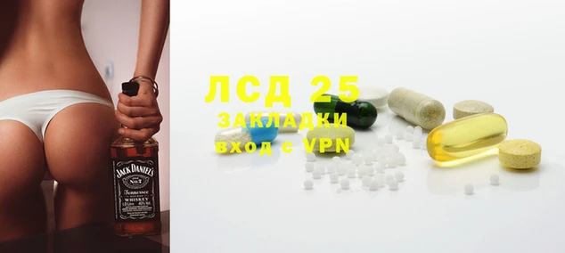 дмт Алзамай