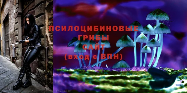 дмт Алзамай